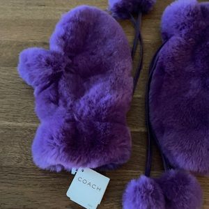 Coach gloves
